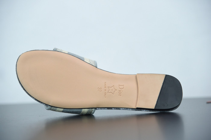 DOR SLIDE